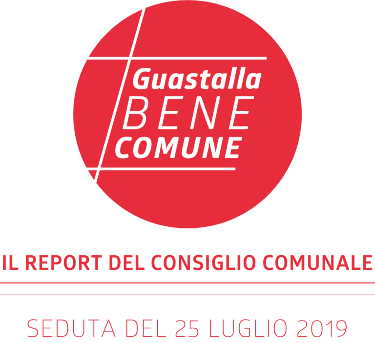 REPORT CONSIGLIO COMUNALE DEL 25 LUGLIO