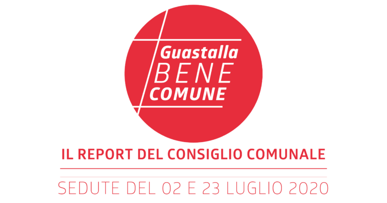 REPORT CONSIGLIO COMUNALE DEL 02 E 23 LUGLIO