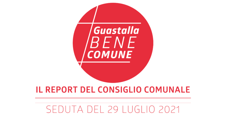 REPORT CONSIGLIO COMUNALE 29 LUGLIO